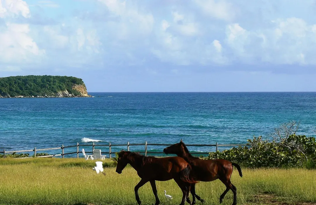 Blue Horizon Boutique Resort (Adults Only)-1